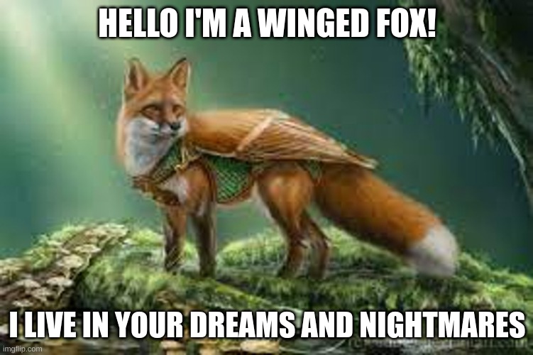 Winged Fox | HELLO I'M A WINGED FOX! I LIVE IN YOUR DREAMS AND NIGHTMARES | image tagged in memes | made w/ Imgflip meme maker