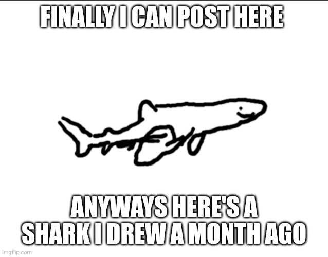 Le shark drawing | FINALLY I CAN POST HERE; ANYWAYS HERE'S A SHARK I DREW A MONTH AGO | image tagged in le shark drawing | made w/ Imgflip meme maker