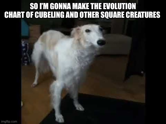 Low quality borzoi dog | SO I’M GONNA MAKE THE EVOLUTION CHART OF CUBELING AND OTHER SQUARE CREATURES | image tagged in low quality borzoi dog | made w/ Imgflip meme maker