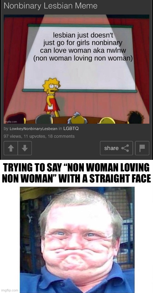TRYING TO SAY “NON WOMAN LOVING
NON WOMAN” WITH A STRAIGHT FACE | image tagged in when you're trying not to laugh at something stupid | made w/ Imgflip meme maker