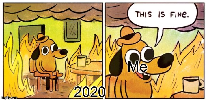 2020 for me in a nutshell | Me; 2020 | image tagged in memes,this is fine | made w/ Imgflip meme maker