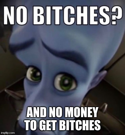 No Bitches | AND NO MONEY TO GET BITCHES | image tagged in no bitches | made w/ Imgflip meme maker