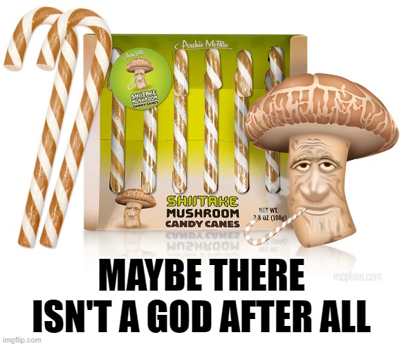 MAYBE THERE ISN'T A GOD AFTER ALL | image tagged in mushroom,christmas,candy cane,gross food | made w/ Imgflip meme maker