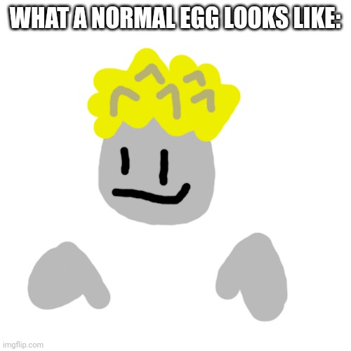 Eggyheads giant hair and :P aren't normal for eggs, Eggyhead just had them when he was born. | WHAT A NORMAL EGG LOOKS LIKE: | image tagged in memes,blank transparent square | made w/ Imgflip meme maker