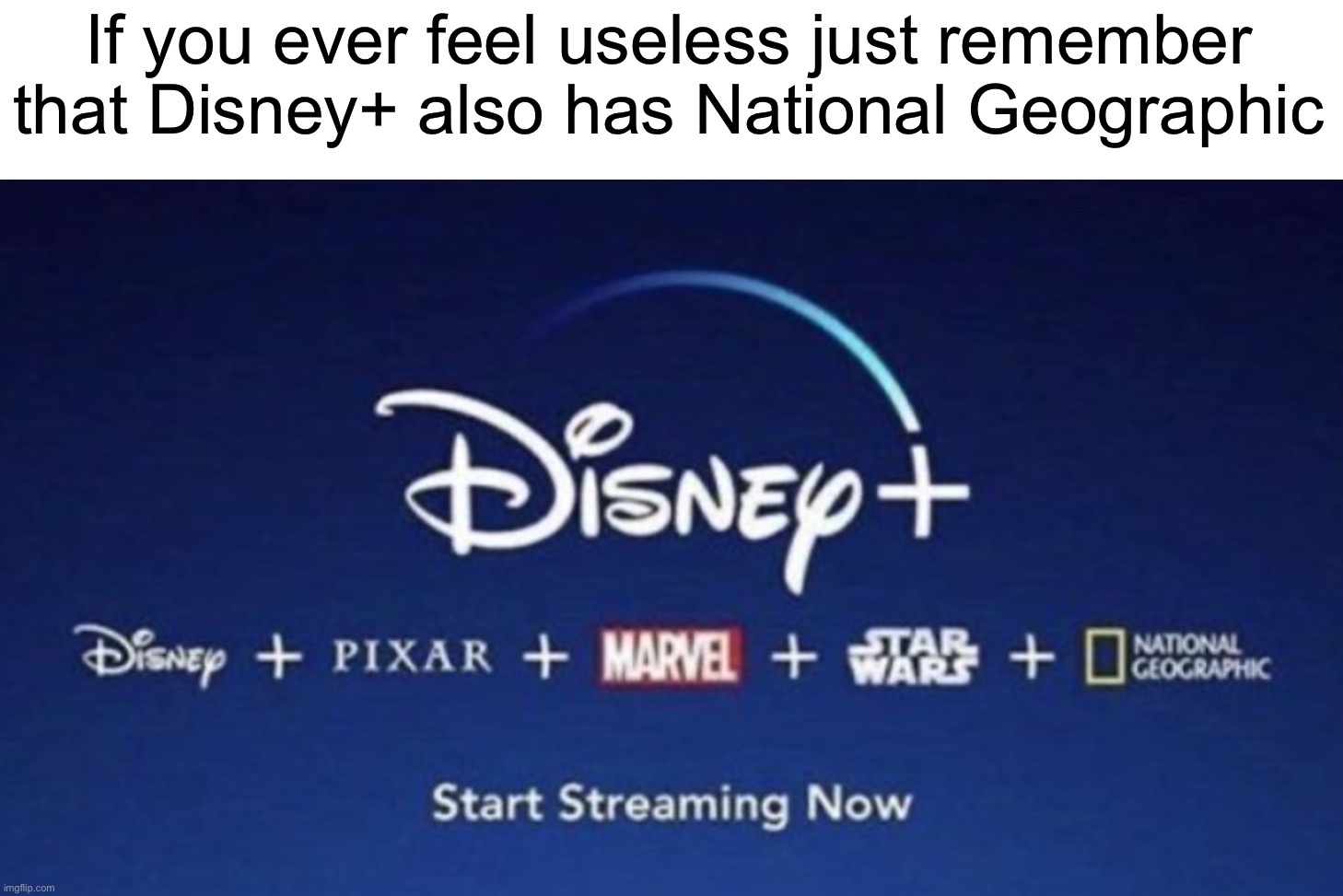 Who actually watches Nat Geo on Disney+ though |  If you ever feel useless just remember that Disney+ also has National Geographic | image tagged in memes,funny,disney plus,if you ever feel useless,funny memes,true story | made w/ Imgflip meme maker
