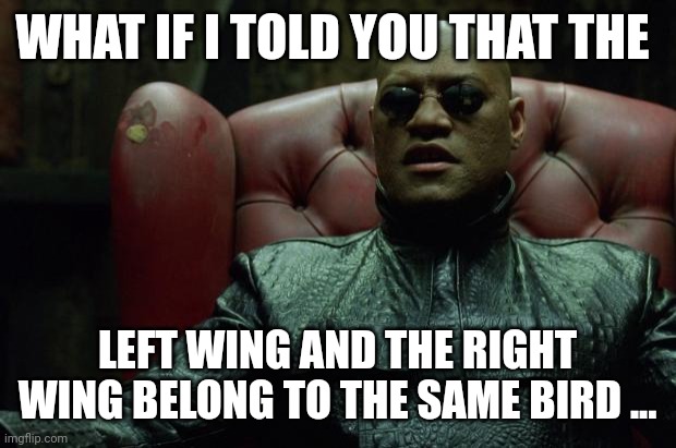 Morpheus Politics | WHAT IF I TOLD YOU THAT THE; LEFT WING AND THE RIGHT WING BELONG TO THE SAME BIRD ... | image tagged in matrix morpheus | made w/ Imgflip meme maker