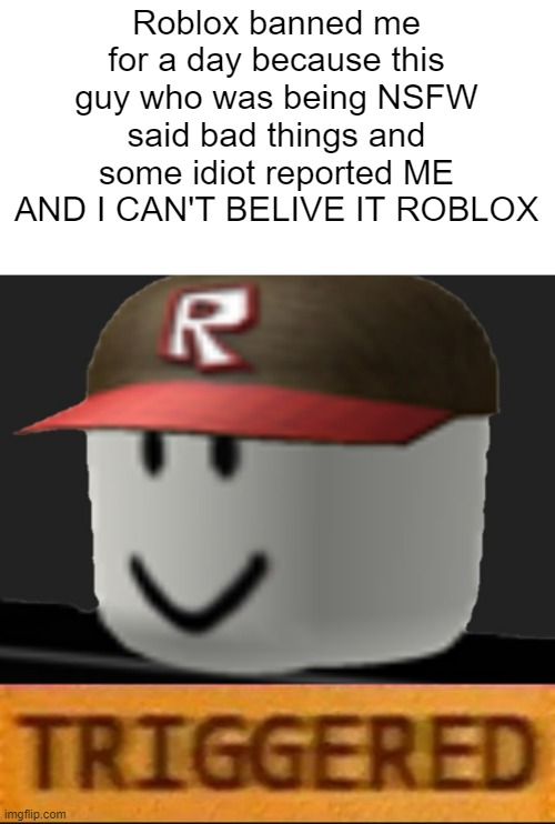 Roblox be like | Roblox banned me for a day because this guy who was being NSFW said bad things and some idiot reported ME AND I CAN'T BELIVE IT ROBLOX | image tagged in roblox triggered,noooooooooooooooooooooooo | made w/ Imgflip meme maker