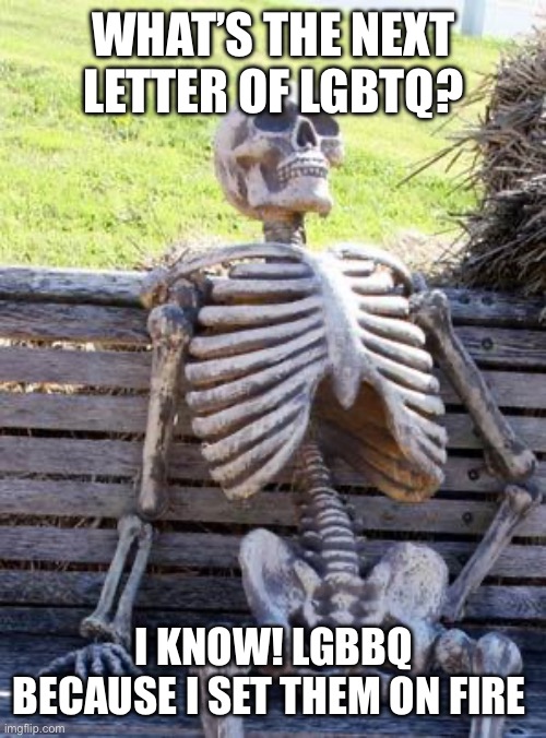 Don’t take it down it’s a joke | WHAT’S THE NEXT LETTER OF LGBTQ? I KNOW! LGBBQ BECAUSE I SET THEM ON FIRE | image tagged in memes,waiting skeleton | made w/ Imgflip meme maker