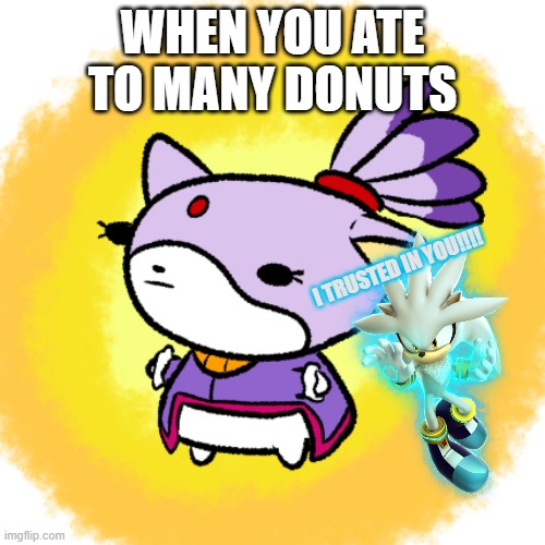 Blaze MEME | WHEN YOU ATE TO MANY DONUTS; I TRUSTED IN YOU!!!! | image tagged in blaze,silver,meme,donuts | made w/ Imgflip meme maker