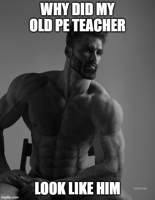 he was the best, he would talk about minecraft with me on breaks | WHY DID MY OLD PE TEACHER; LOOK LIKE HIM | image tagged in giga chad | made w/ Imgflip meme maker