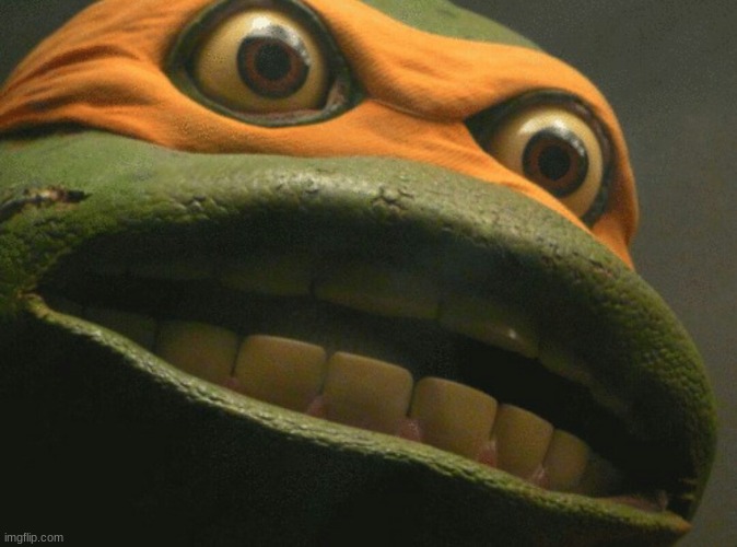 Intense ninja turtle | image tagged in intense ninja turtle | made w/ Imgflip meme maker