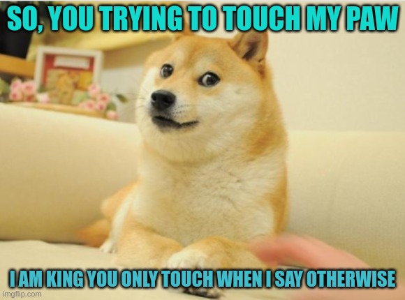 SO, YOU TRYING TO TOUCH MY PAW; I AM KING YOU ONLY TOUCH WHEN I SAY OTHERWISE | image tagged in memes,dogs | made w/ Imgflip meme maker