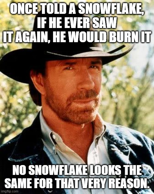 Chuck Norris | ONCE TOLD A SNOWFLAKE, IF HE EVER SAW IT AGAIN, HE WOULD BURN IT; NO SNOWFLAKE LOOKS THE SAME FOR THAT VERY REASON. | image tagged in memes,chuck norris | made w/ Imgflip meme maker