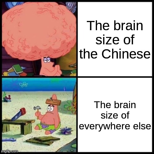 Big Brain | The brain size of the Chinese; The brain size of everywhere else | image tagged in patrick big brain vs small brain | made w/ Imgflip meme maker