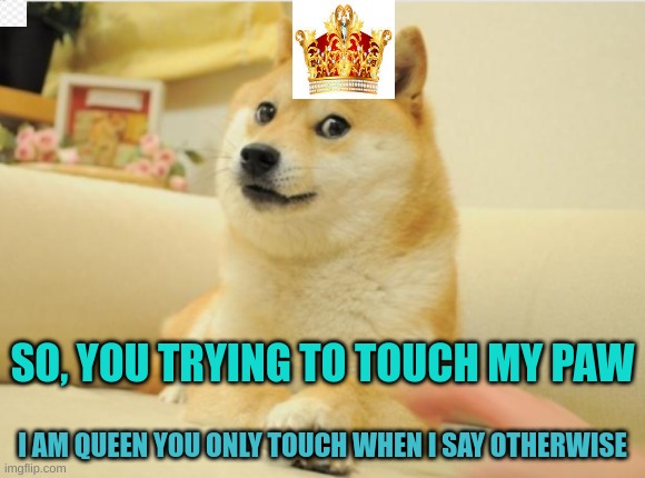 SO, YOU TRYING TO TOUCH MY PAW; I AM QUEEN YOU ONLY TOUCH WHEN I SAY OTHERWISE | image tagged in funny dogs,memes | made w/ Imgflip meme maker