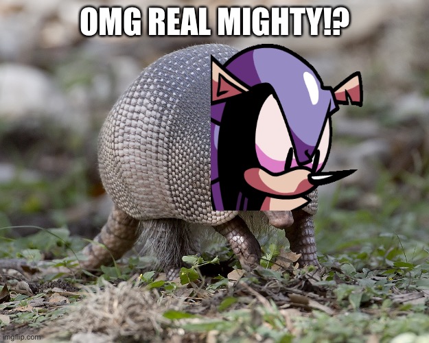 Real mighty confirmed | OMG REAL MIGHTY!? | image tagged in armadillo,friday night funkin,mighty zip | made w/ Imgflip meme maker