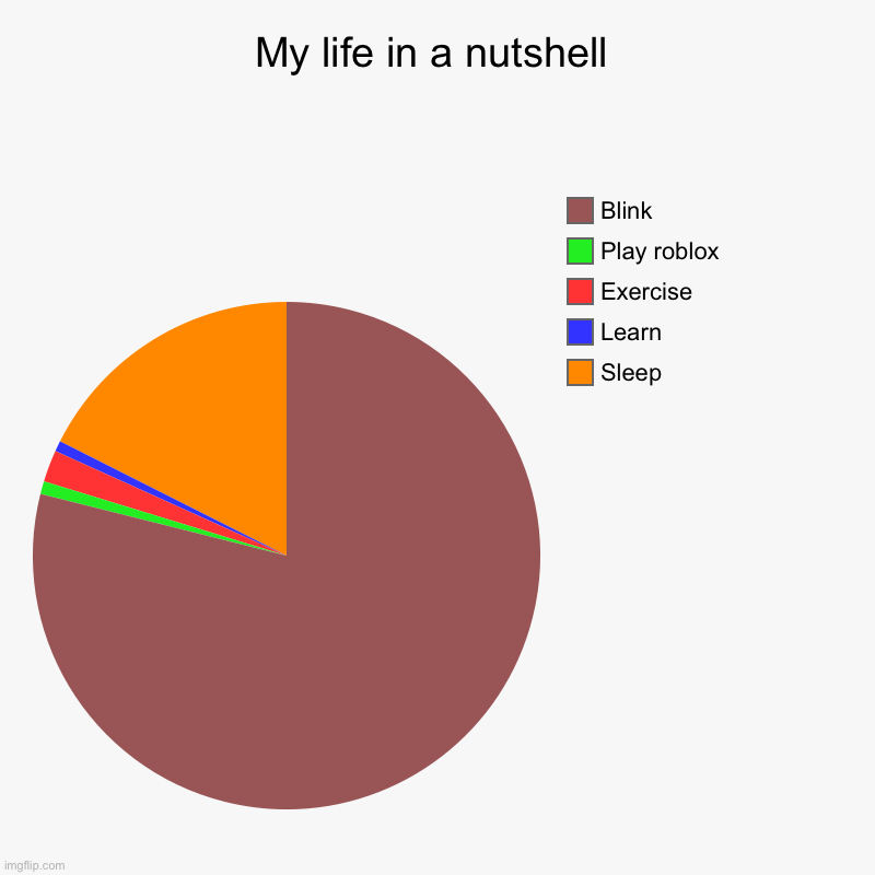 My life in a nutshell | Sleep, Learn, Exercise, Play roblox, Blink | image tagged in charts,pie charts | made w/ Imgflip chart maker