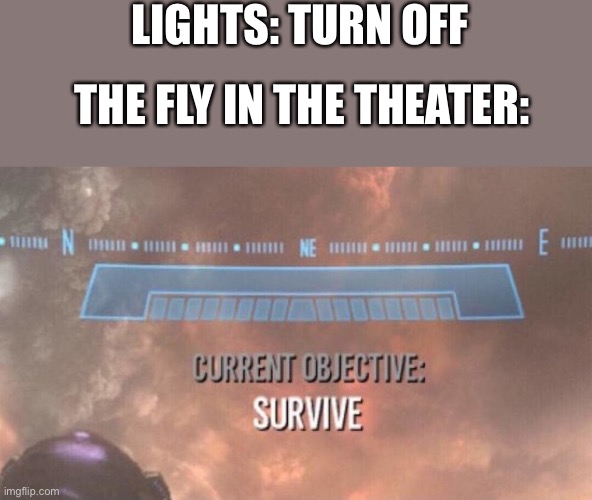 If you don’t get the joke, they start clapping | LIGHTS: TURN OFF; THE FLY IN THE THEATER: | image tagged in current objective survive,fly,theatre,theater,heavy breathing | made w/ Imgflip meme maker