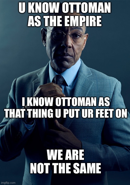 Gus Fring we are not the same | U KNOW OTTOMAN AS THE EMPIRE; I KNOW OTTOMAN AS THAT THING U PUT UR FEET ON; WE ARE NOT THE SAME | image tagged in gus fring we are not the same | made w/ Imgflip meme maker
