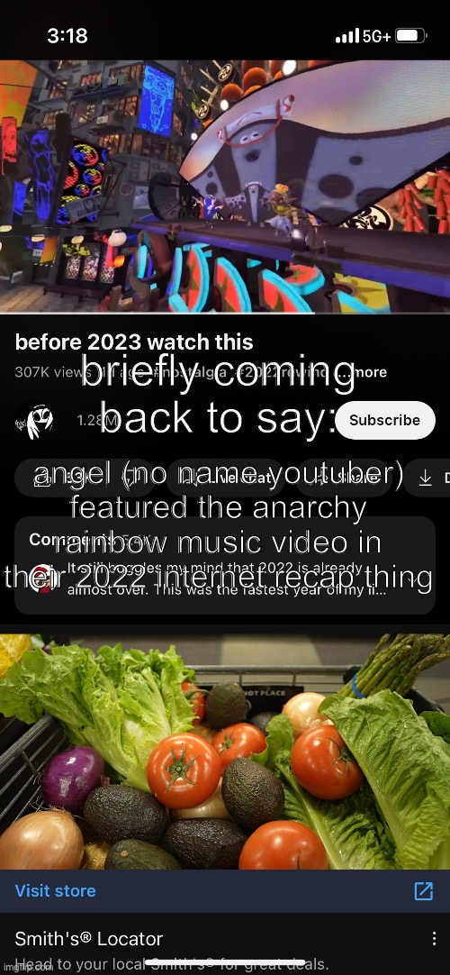 hi | briefly coming back to say:; angel (no name youtuber) featured the anarchy rainbow music video in their 2022 internet recap thing | image tagged in splatoon,splatoon 3 | made w/ Imgflip meme maker