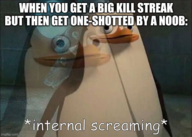 Private Internal Screaming | WHEN YOU GET A BIG KILL STREAK BUT THEN GET ONE-SHOTTED BY A NOOB: | image tagged in private internal screaming | made w/ Imgflip meme maker