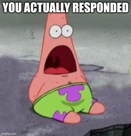 Suprised Patrick | YOU ACTUALLY RESPONDED | image tagged in suprised patrick | made w/ Imgflip meme maker