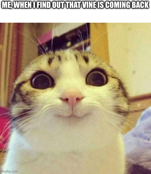 irgfbvi i\fy gvseuvydj | ME, WHEN I FIND OUT THAT VINE IS COMING BACK | image tagged in memes,smiling cat,vine,vines,youtube | made w/ Imgflip meme maker