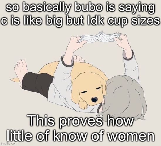 I have a lot to learn ( my search history is gonna be weird as hell ) | so basically bubo is saying c is like big but Idk cup sizes; This proves how little of know of women | image tagged in avogado6 | made w/ Imgflip meme maker