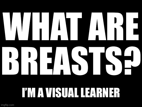 WHAT ARE
BREASTS? I’M A VISUAL LEARNER | made w/ Imgflip meme maker