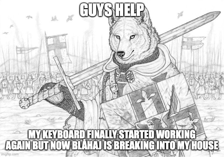 Fursader. | GUYS HELP; MY KEYBOARD FINALLY STARTED WORKING AGAIN BUT NOW BLÅHAJ IS BREAKING INTO MY HOUSE | image tagged in fursader | made w/ Imgflip meme maker