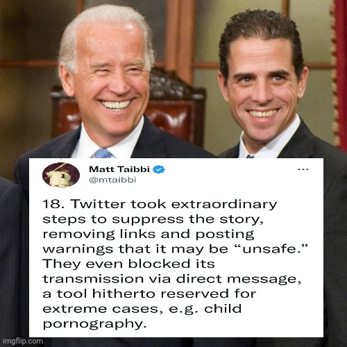 Biden is an illegitimate President. | image tagged in memes | made w/ Imgflip meme maker