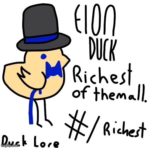 Duck #1 - Elon Duck | image tagged in duck lore | made w/ Imgflip meme maker