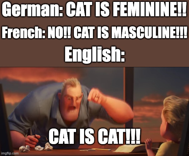'Cat' in Germanic and Romance languages | German: CAT IS FEMININE!! French: NO!! CAT IS MASCULINE!!! English:; CAT IS CAT!!! | image tagged in math is math | made w/ Imgflip meme maker