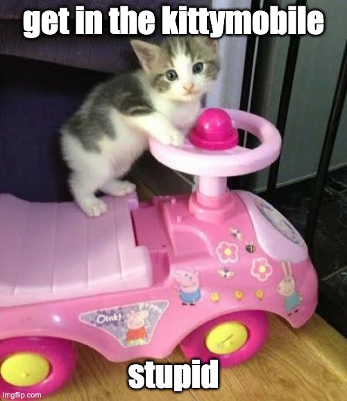 vroom vroom | get in the kittymobile; stupid | image tagged in drake hotline bling,hellokittyisgod | made w/ Imgflip meme maker
