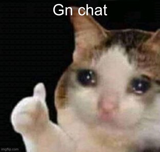 sadge | Gn chat | image tagged in sadge | made w/ Imgflip meme maker