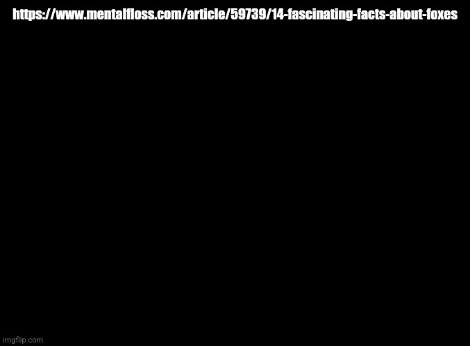 @Nozomi | https://www.mentalfloss.com/article/59739/14-fascinating-facts-about-foxes | image tagged in blank black | made w/ Imgflip meme maker