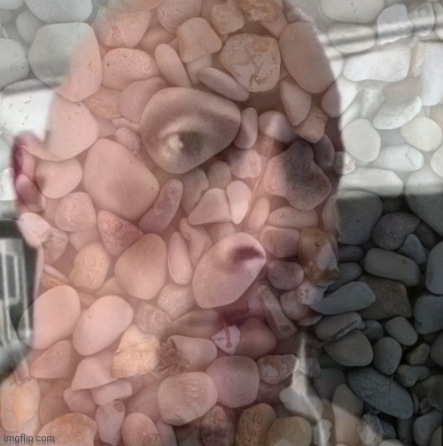 The rock | image tagged in the rock | made w/ Imgflip meme maker