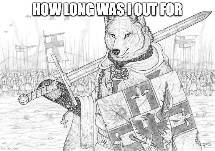 Fursader. | HOW LONG WAS I OUT FOR | image tagged in fursader | made w/ Imgflip meme maker