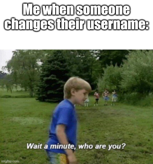 Wait a minute, who are you? | Me when someone changes their username: | image tagged in wait a minute who are you | made w/ Imgflip meme maker