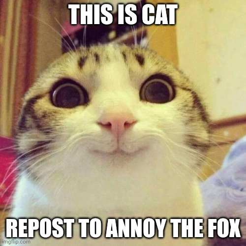 Smiling Cat | THIS IS CAT; REPOST TO ANNOY THE FOX | image tagged in memes,smiling cat | made w/ Imgflip meme maker