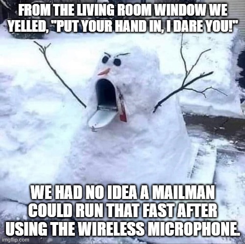 MAILBOX SNOWMAN | FROM THE LIVING ROOM WINDOW WE YELLED, "PUT YOUR HAND IN, I DARE YOU!"; WE HAD NO IDEA A MAILMAN COULD RUN THAT FAST AFTER USING THE WIRELESS MICROPHONE. | image tagged in snow,mail,snowman,funny memes,dare,run | made w/ Imgflip meme maker