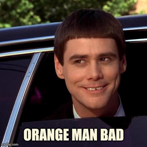 Dumb and Dumber | ORANGE MAN BAD | image tagged in dumb and dumber | made w/ Imgflip meme maker