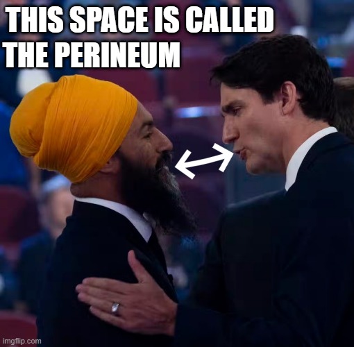 Trudeau & Singh |  THIS SPACE IS CALLED; THE PERINEUM | image tagged in canada,justin trudeau,politics | made w/ Imgflip meme maker