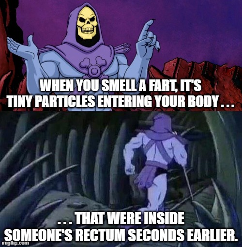 Fart Facts | WHEN YOU SMELL A FART, IT'S TINY PARTICLES ENTERING YOUR BODY . . . . . . THAT WERE INSIDE SOMEONE'S RECTUM SECONDS EARLIER. | image tagged in he man skeleton advices,fart,rectum,skeletor disturbing facts,skeletor | made w/ Imgflip meme maker