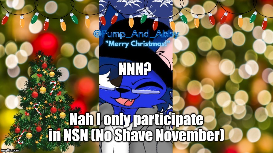 I literally haven't shaved | NNN? Nah I only participate in NSN (No Shave November) | image tagged in christmas temp thx drm | made w/ Imgflip meme maker