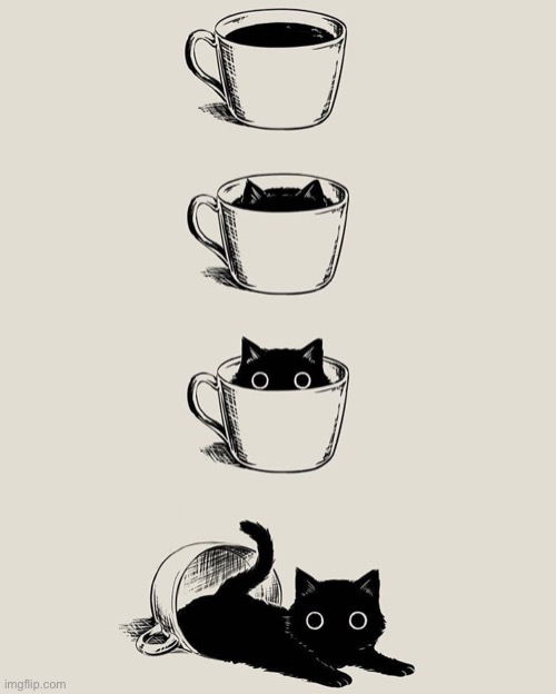 Coffee cat | image tagged in avogado6 cat,cat | made w/ Imgflip meme maker