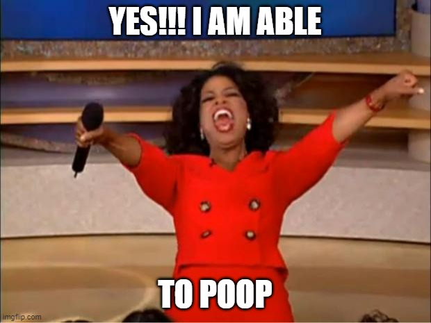 Oprah You Get A Meme | YES!!! I AM ABLE; TO POOP | image tagged in memes,oprah you get a,poop,irony,gay,lol | made w/ Imgflip meme maker