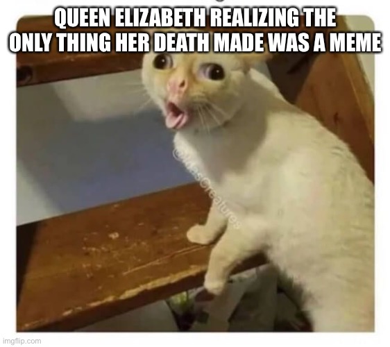 RIP queen Elizabeth | QUEEN ELIZABETH REALIZING THE ONLY THING HER DEATH MADE WAS A MEME | image tagged in coughing cat | made w/ Imgflip meme maker