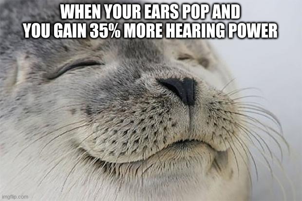 Satisfied Seal Meme | WHEN YOUR EARS POP AND YOU GAIN 35% MORE HEARING POWER | image tagged in memes,satisfied seal | made w/ Imgflip meme maker