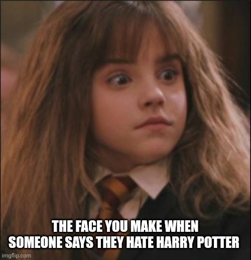 the face you make when someone says they hate harry potter | THE FACE YOU MAKE WHEN SOMEONE SAYS THEY HATE HARRY POTTER | image tagged in the face you make when someone says they hate harry potter | made w/ Imgflip meme maker